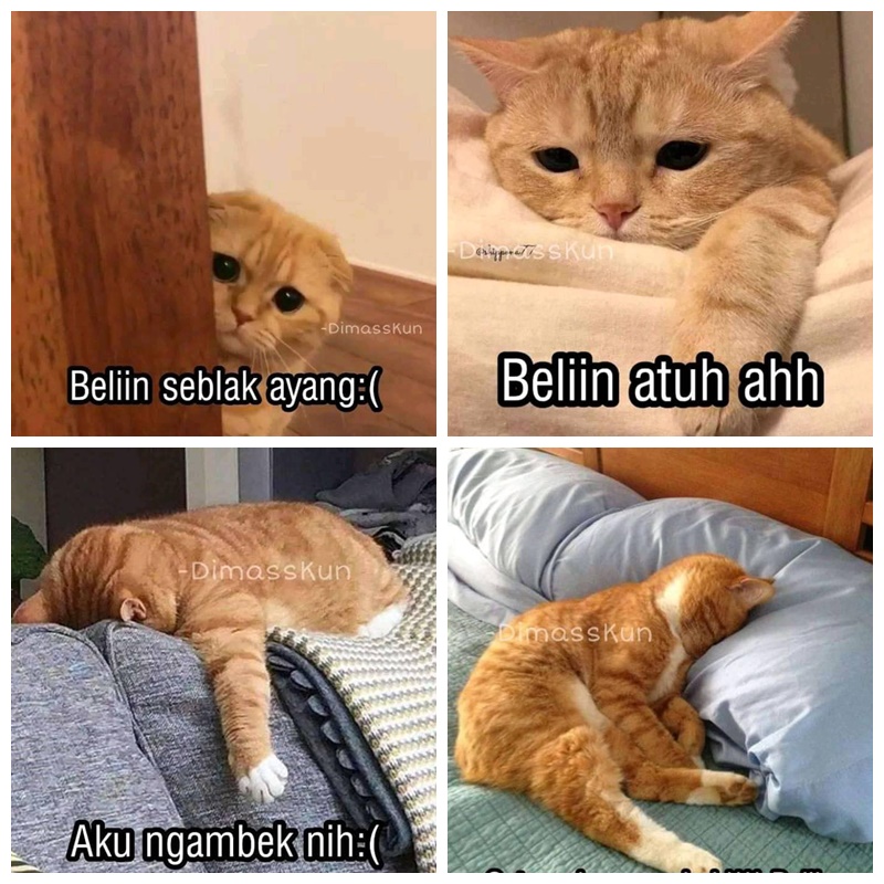 10 Meme lucu pacar minta seblak, relate banget sama anak zaman now