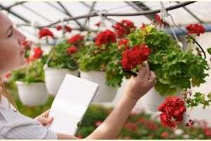 Tips memilih pot gantung tanaman hias, percantik teras rumah