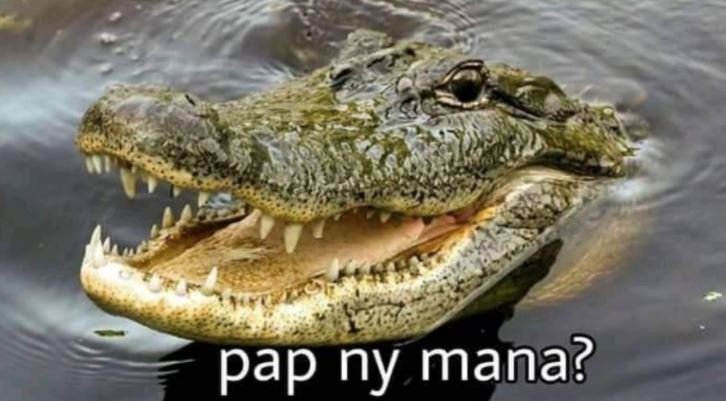 15 Plesetan bahasa 'buaya' ini bikin cewek kesel bacanya