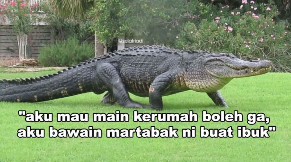 15 Plesetan bahasa 'buaya' ini bikin cewek kesel bacanya
