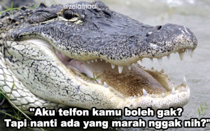 15 Plesetan bahasa 'buaya' ini bikin cewek kesel bacanya