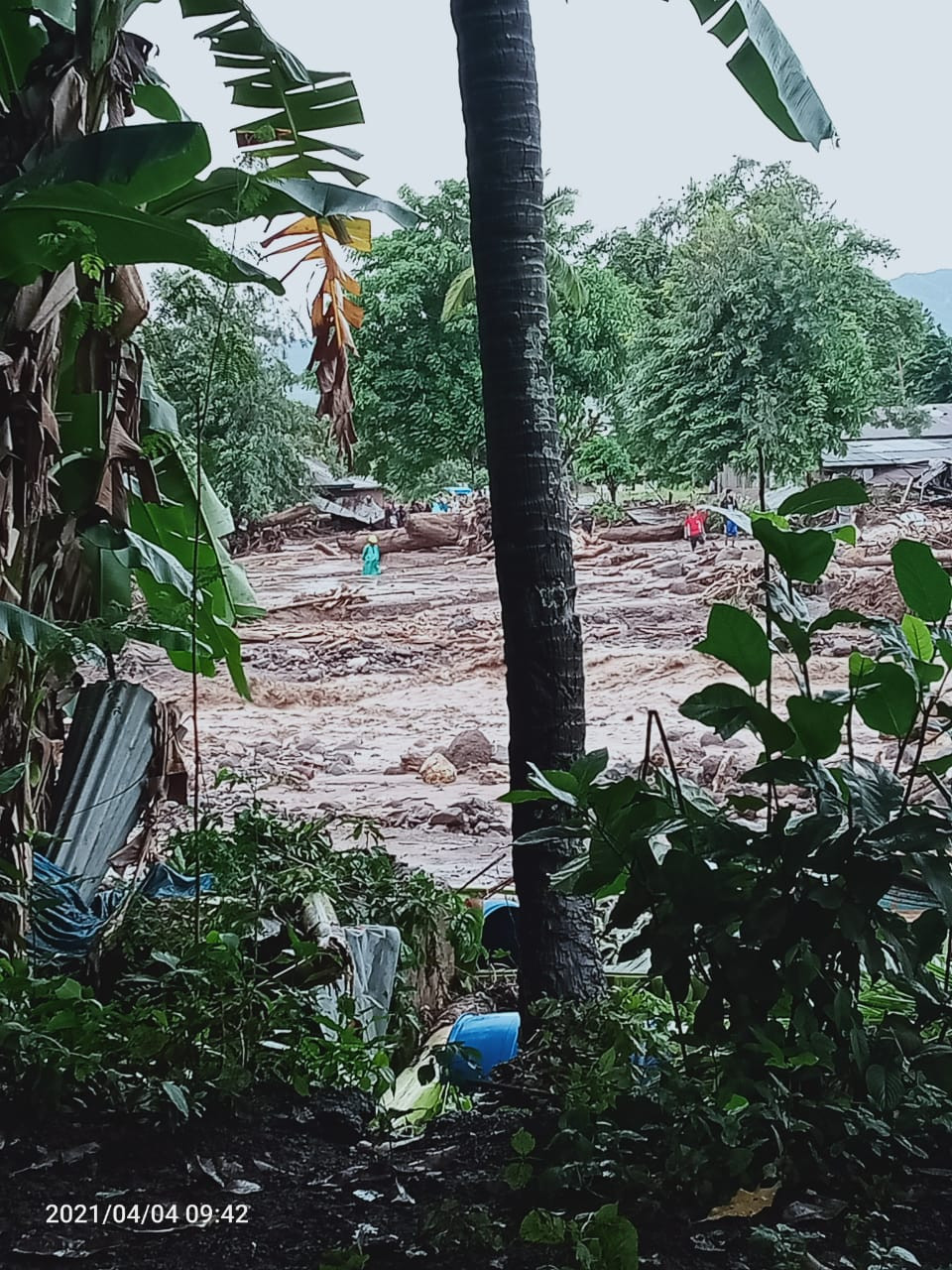 5 Fakta banjir bandang dan longsor di Flores Timur