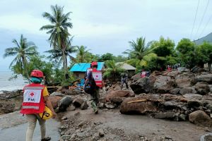 10 Potret terkini dampak bencana alam di NTT