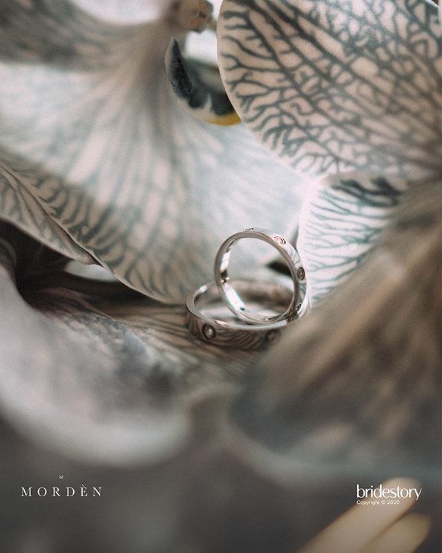 Cincin kawin 6 seleb ini bertabur berlian, punya Atta 37 butir