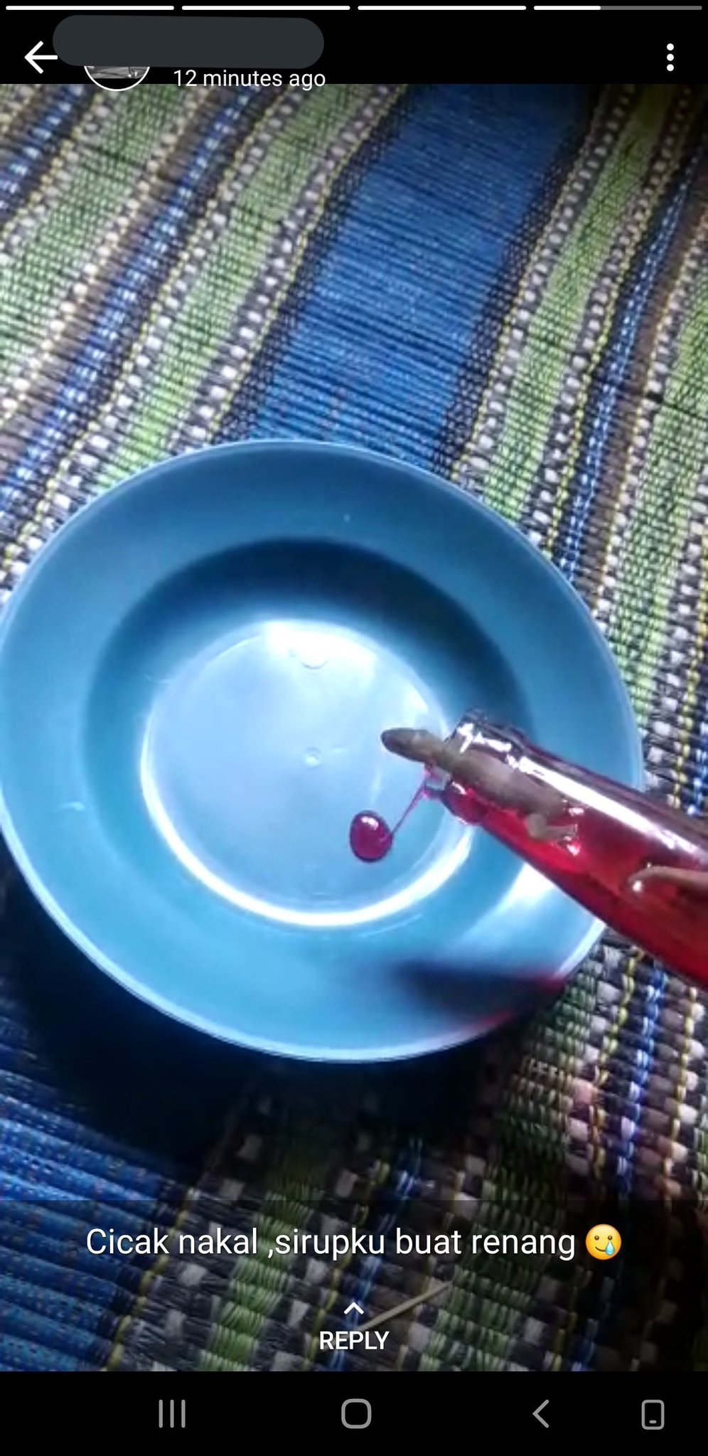 10 Status WhatsApp lucu pamer keapesan, mau ketawa tapi nggak tega