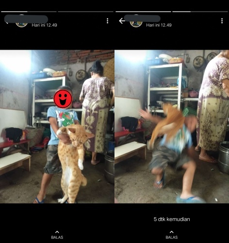 10 Status WhatsApp lucu pamer keapesan, mau ketawa tapi nggak tega