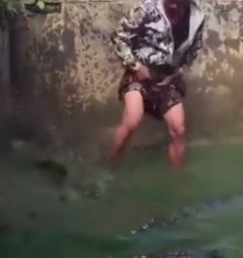 Viral pemuda nyemplung kolam buaya dengan santai, bikin ngeri