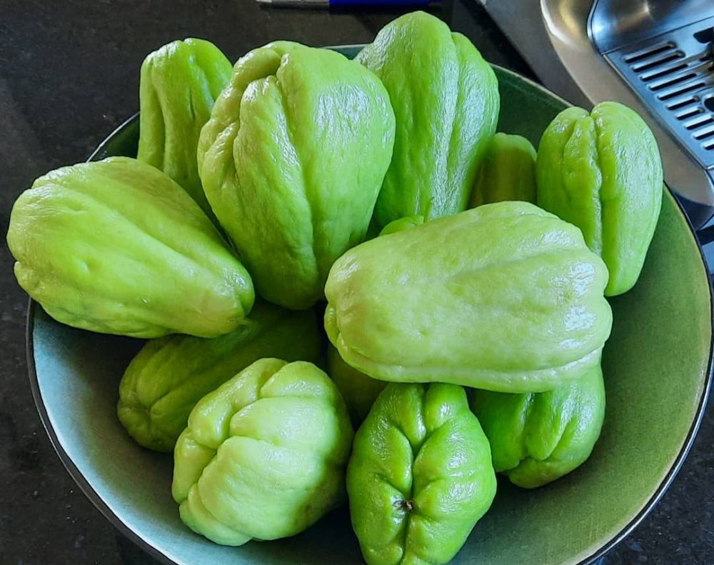 10 Bahan ini wajib disimpan anak kos, praktis dimasak pas lapar