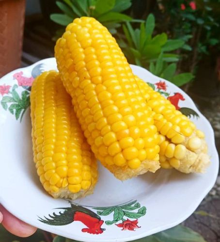 Resep cemilan sehat saat berbuka puasa © berbagai sumber Resep cemilan sehat saat berbuka puasa © berbagai sumber