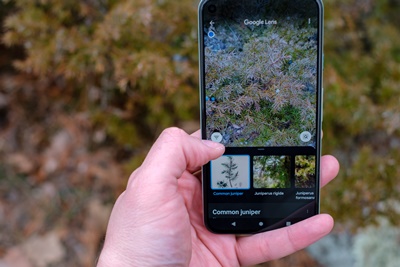 6 Hack pakai smartphone yang belum banyak dimanfaatkan orang