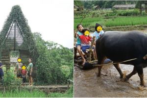 8 Momen liburan Widi Mulia dan keluarga di Bogor, Widuri bajak sawah