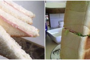 15 Potret absurd roti sandwich ini bikin tepuk jidat
