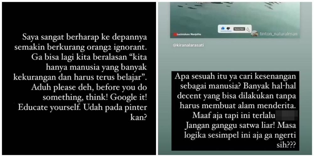 Heboh aksi Lucinta Luna eksploitasi lumba-lumba, menuai kecaman