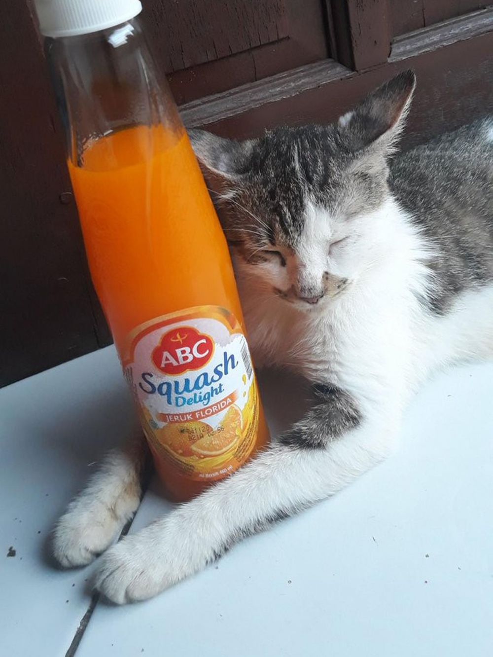 10 Meme lucu nunggu bedug ini bikin puasa makin semangat, kocak pol