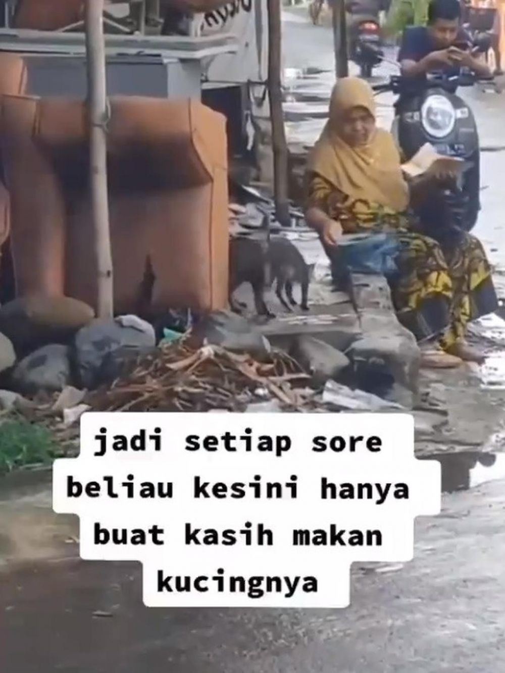 Viral kisah seorang ibu rutin beri makan kucing liar, bikin salut