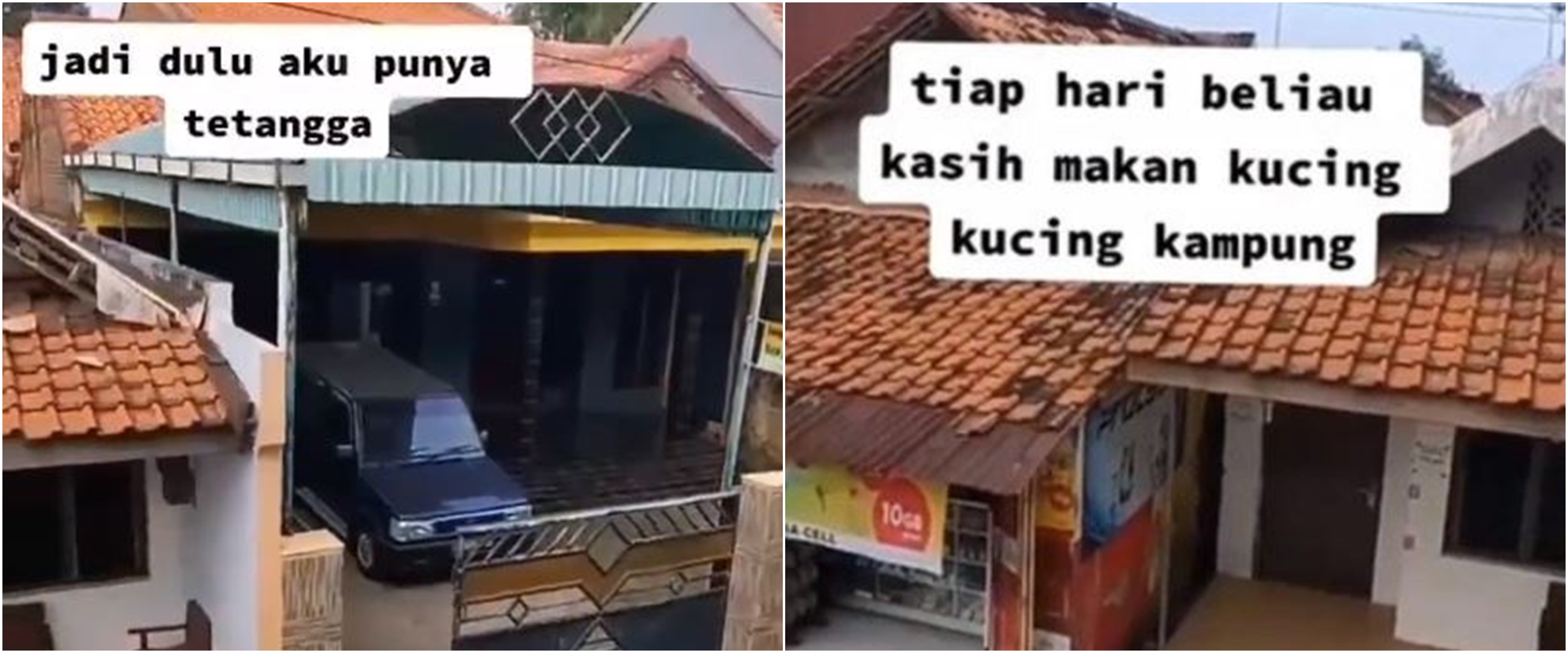 Viral kisah seorang ibu rutin beri makan kucing liar, bikin salut