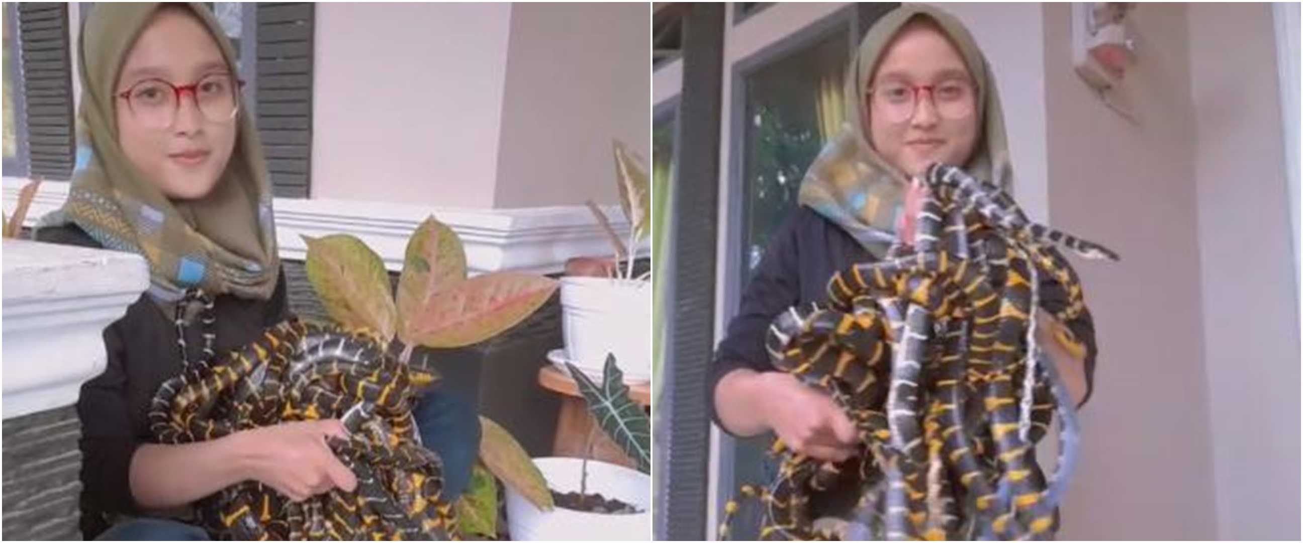 Viral video wanita gendong puluhan ular, ditonton hampir 18 juta kali