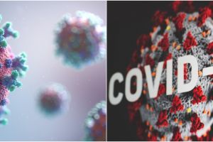 Satgas Covid-19 sebut kasus varian D614G ditemukan di Indonesia