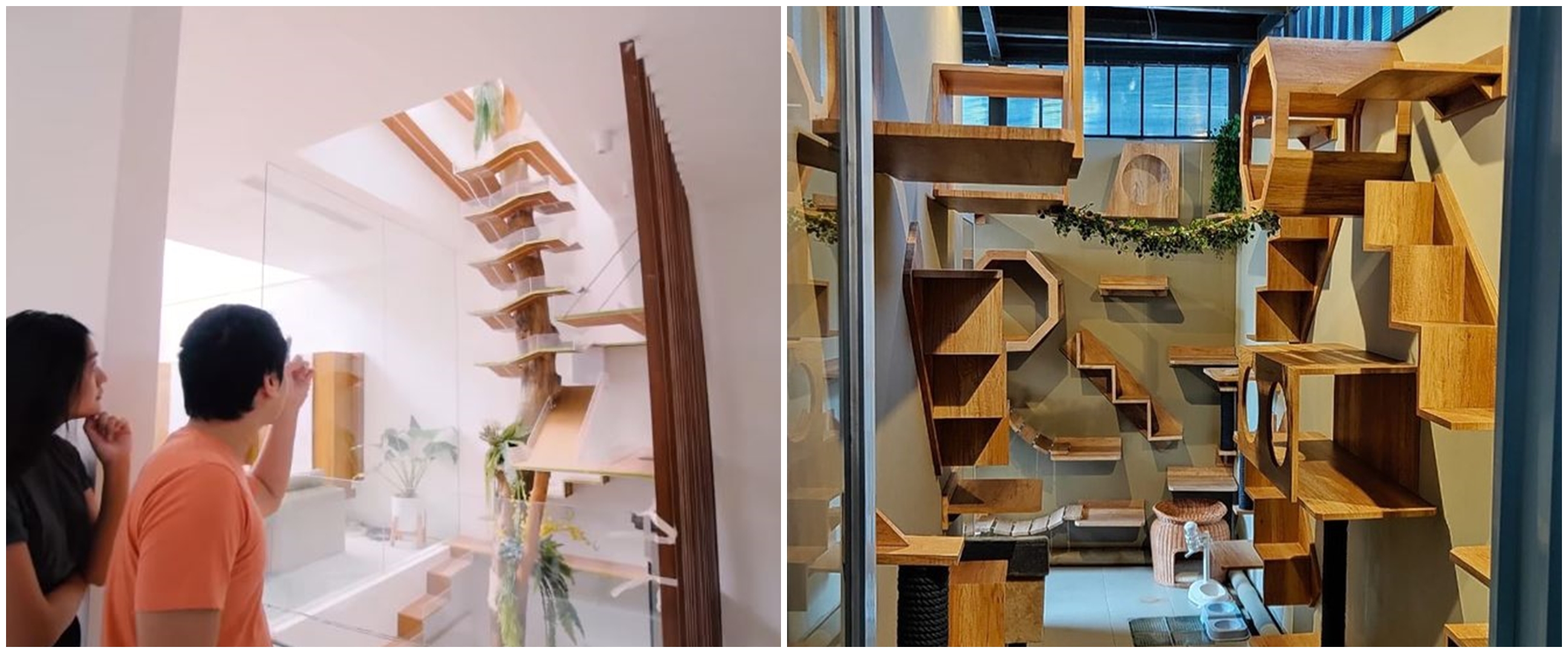 Potret rumah kucing milik 8 seleb, punya Gisel ada AC-nya