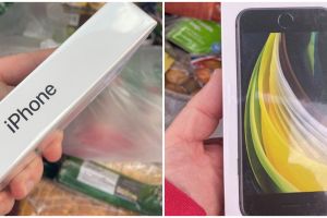 Pria ini dapat iPhone saat pesan apel via online, ceritanya bikin iri