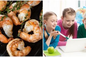7 Manfaat udang bagi anak, dapat tingkatkan imun tubuh