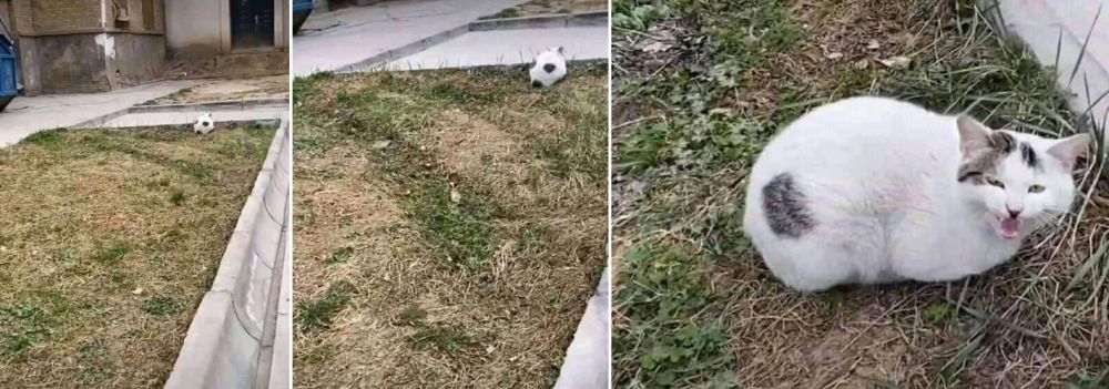 Lihat dengan teliti, keanehan di 10 foto ini bikin senyum kesal