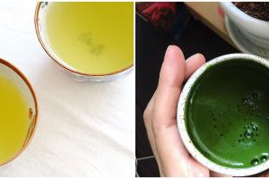 Sering dikira sama, ini 10 jenis teh hijau beserta manfaatnya