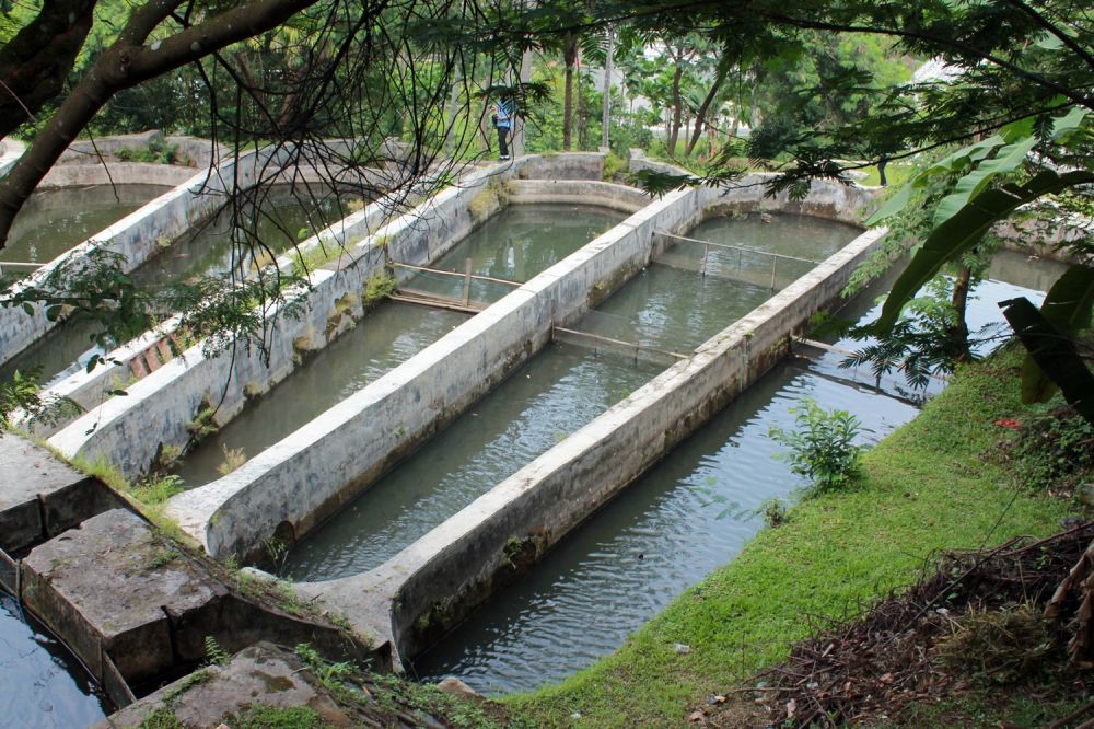 Yuk kolaborasi dukung gerakan konservasi air untuk masa depan