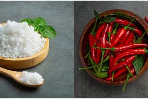 8 Rempah-rempah pengganti garam, kurangi risiko darah tinggi