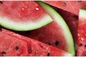 12 Makanan ini bantu atasi bibir kering selama berpuasa