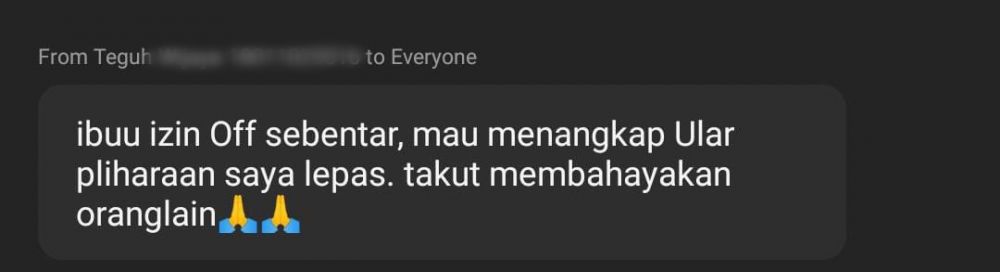 14 Alasan izin kuliah online gara-gara hewan peliharaan, kocak