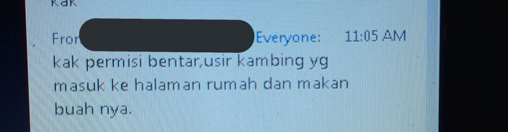 14 Alasan izin kuliah online gara-gara hewan peliharaan, kocak