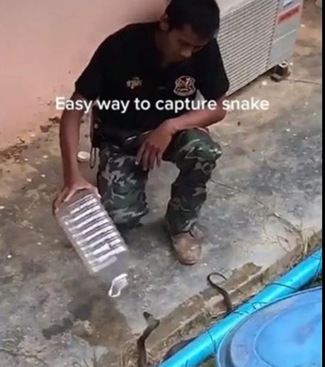 Viral video orang tangkap ular dengan botol, bikin tegang