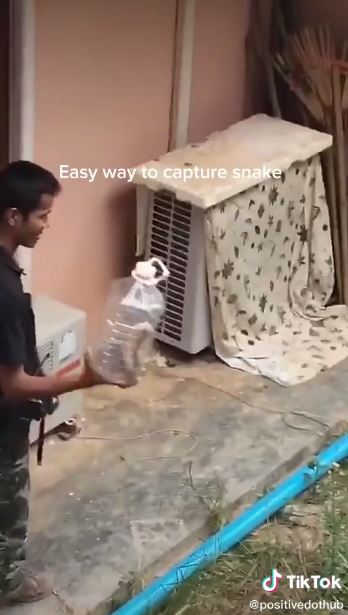 Viral video orang tangkap ular dengan botol, bikin tegang