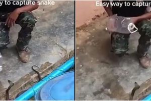Viral video orang tangkap ular dengan botol, bikin tegang