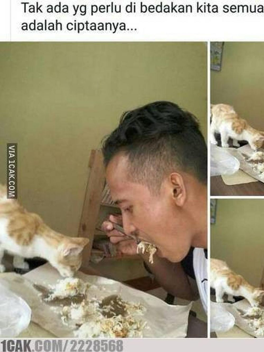 10 Momen lucu makan bareng kucing ini bikin tepuk jidat
