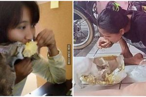 10 Momen lucu makan bareng kucing ini bikin tepuk jidat