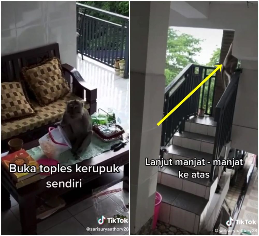 Video suka duka punya rumah semi outdoor, didatangi 'tamu tak terduga'
