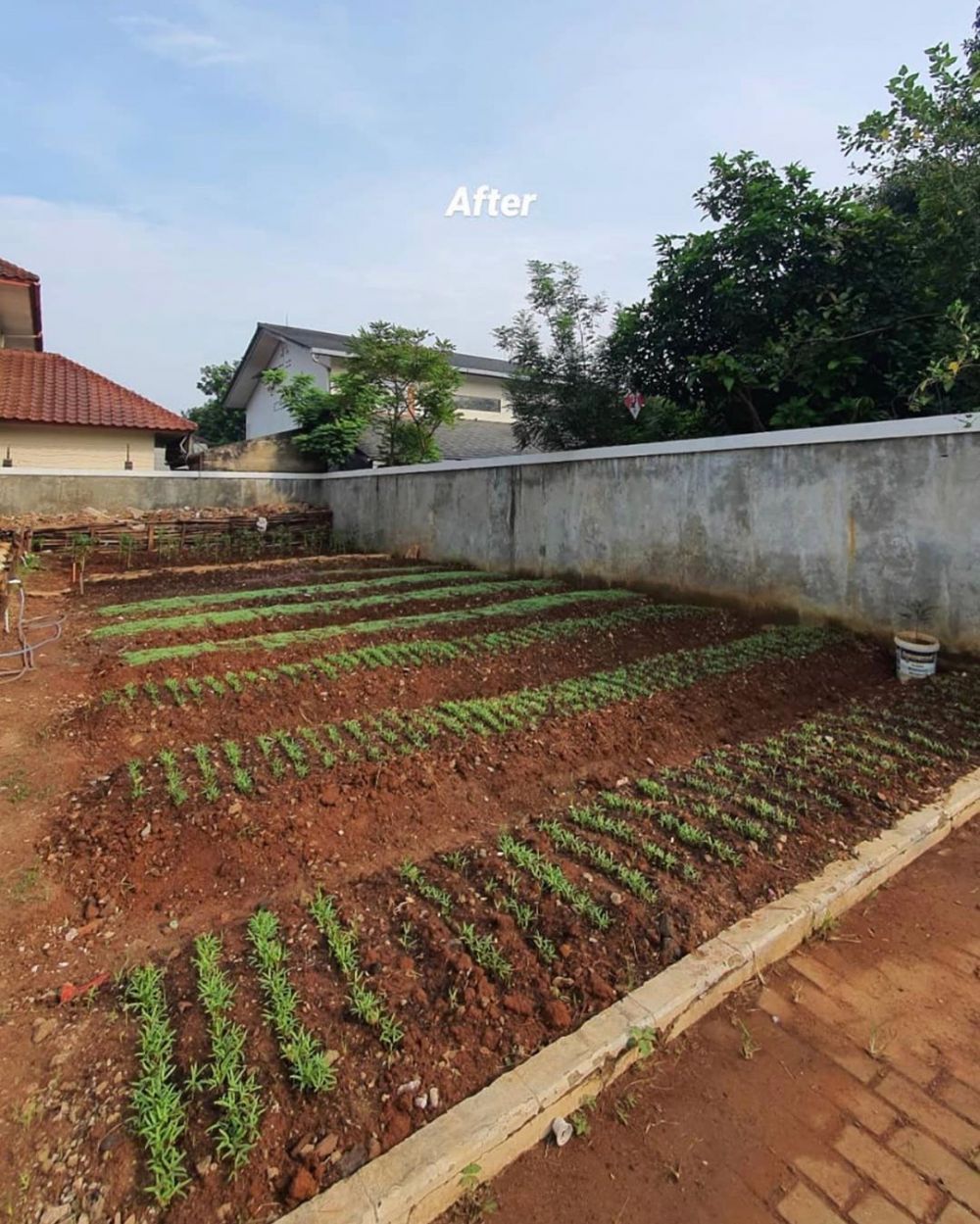 Potret 10 kebun milik seleb, koleksi Daniel Mananta unik