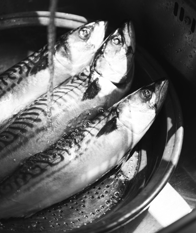 5 Cara menyimpan ikan asin agar tahan lama, jangan dicuci