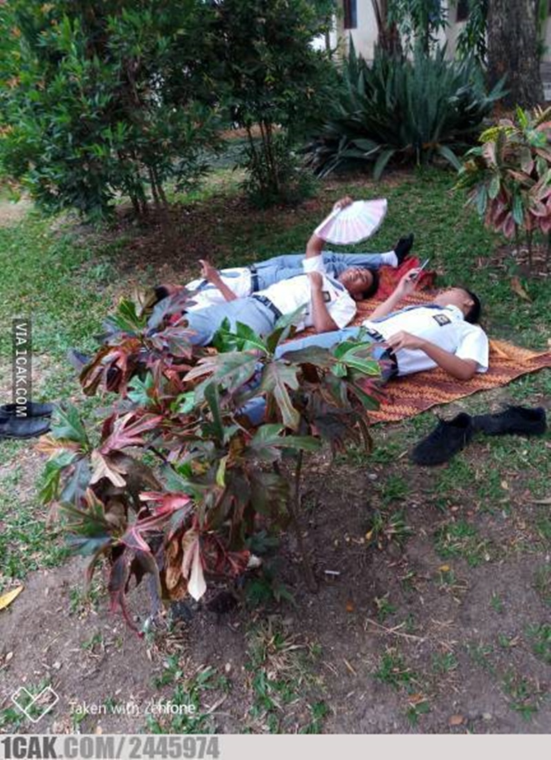 20 Potret jenaka orang saat berjemur ini lucunya bikin senyum lebar