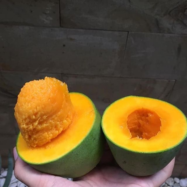 9 Jenis buah mangga yang ada di Indonesia, rasanya manis dan berserat