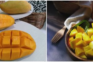 9 Jenis buah mangga yang ada di Indonesia, rasanya manis dan berserat