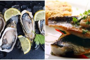 5 jenis seafood ini rendah kolesterol, aman dikonsumsi