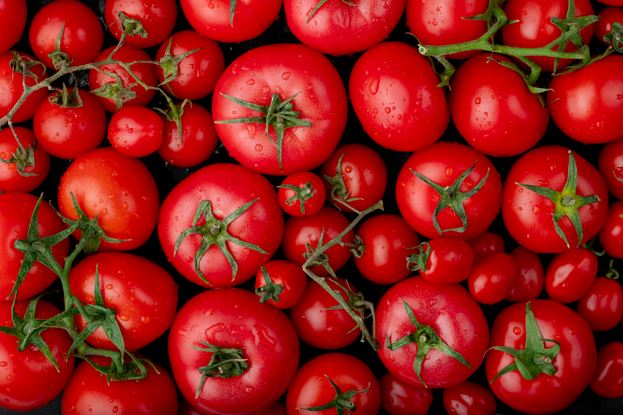 12 Sayuran ini cocok jadi lalapan pendamping ayam bakar