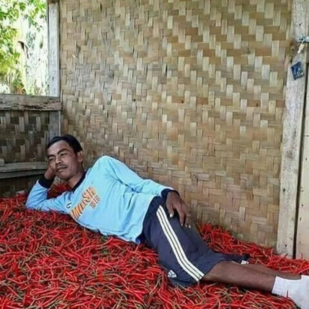 10 Kreasi nyeleneh dari cabai ini lucunya bikin ketawa pedas