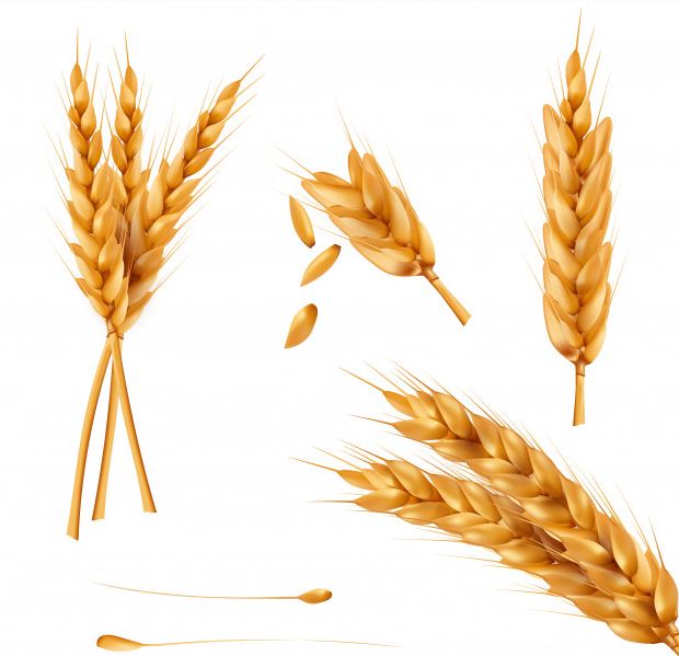 Tak banyak yang tahu, 10 Makanan ini bisa memicu perut kembung