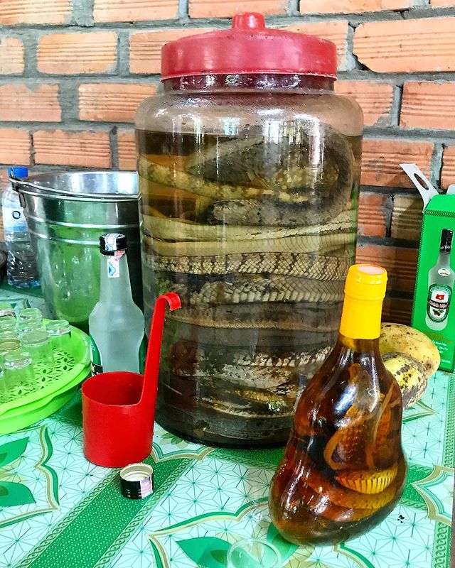 16 Minuman ini dibuat pakai bahan paling aneh, antimainstream