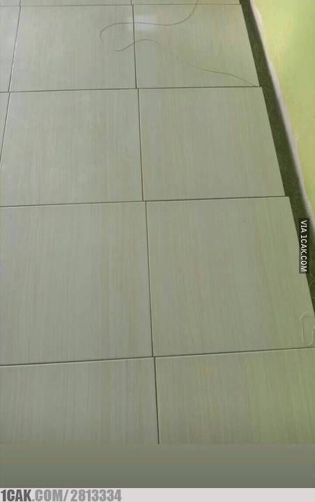 10 Potret lucu salah susun keramik ini bikin yang lihat jengkel