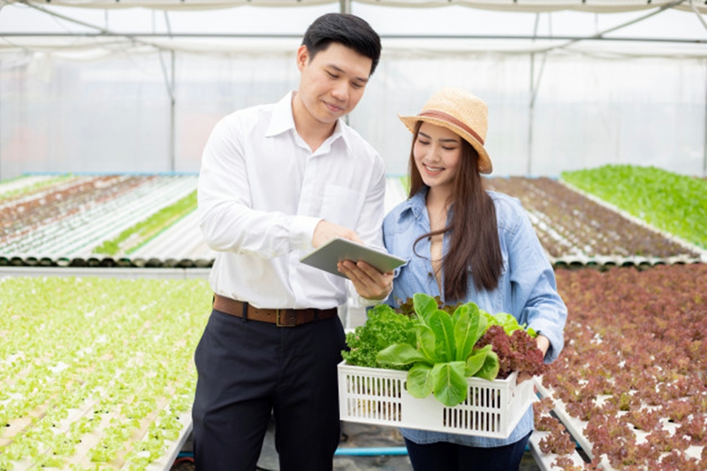 5 Keuntungan belanja sayuran online, solusi tepat saat pandemi